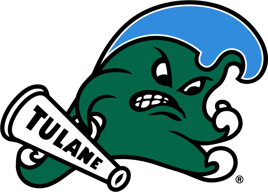 Tulane Green Wave 2017-Pres Primary Logo diy iron on heat transfer